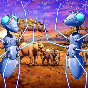 Africa’s blockchain journey begins with poverty alleviation — SumoTrust CEO