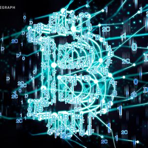 Nic Carter doubles down on theory Bitcoin was invented by NSA