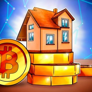 Real estate or Bitcoin: Which is more reliable?