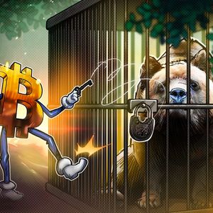 Web3’s resilience amidst the bear market: A promising horizon awaits