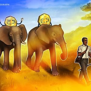 Zimbabwe turns gold-backed digital token into payment method