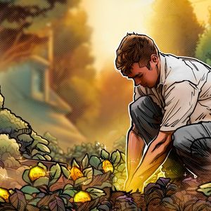 What is the Pareto 80/20 rule, and how does it apply to cryptocurrencies?