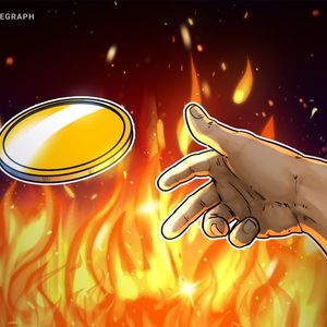 Uniswap founder burns $650B HayCoin against speculation