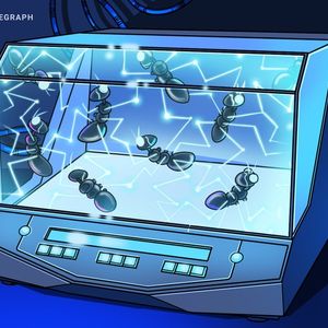 Solana Labs launches Web3 incubator offering dev and fundraising support