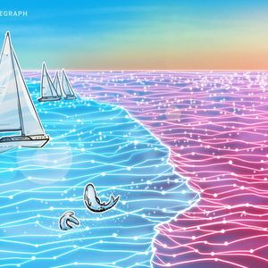 OpenSea investor marks down stake in platform by 90%: Report