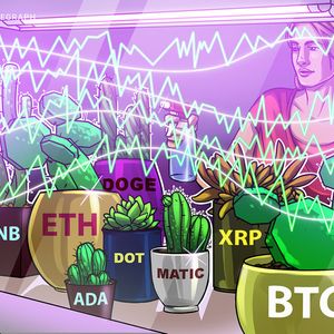 Price analysis 12/23: BTC, ETH, BNB, XRP, DOGE, ADA, MATIC, DOT, LTC, UNI