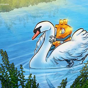What is Swan Bitcoin and how does it work?