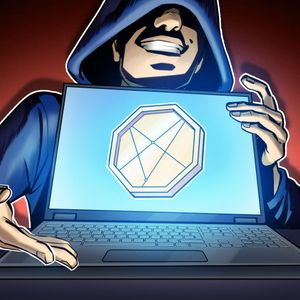 Boltz pauses service after wave of AI-assisted hacking attempts