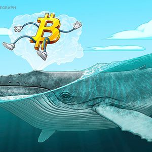 BTC price forms new support at $16.8K as Bitcoin lures 'mega whales'