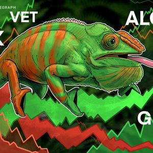 VET, IMX, GRT y ALGO se muestran alcistas mientras bitcoin cotiza por encima de USD 37,000