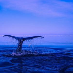 BNB Whales Dump Millions of BUSD Amid Stablecoin Market Shake Up