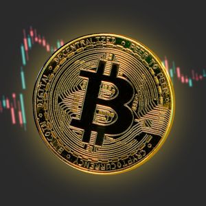 $BTC: 3.4 Million Bitcoin Addresses Buy The Dip After Price Drops Below $30,000, Data Shows
