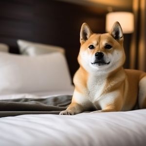 $SHIB: Shytoshi Kusama Gives a Rousing Speech on Shiba Inu’s Past, Present, and Future