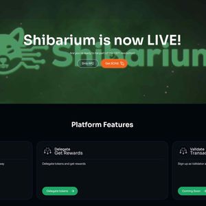 Inside Shibarium’s Launch Hiccups: What Really Went Wrong