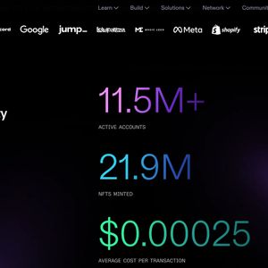 Solana Co-Founder on How Web3 Technologies Can Solve Real World Problems