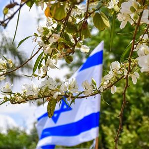 Israeli Authorities Freeze Hamas-Linked Cryptocurrency Accounts With Binance’s Help Amid Escalating Conflict