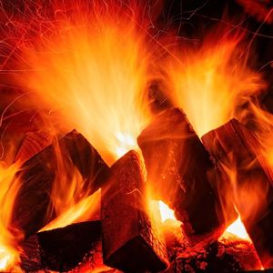 Shiba Inu’s Burn Rate Skyrockets 28,000% Amid Plans to Launch .Shib Domains
