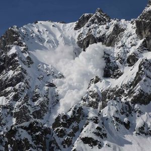 Avalanche Foundation Embraces Meme Coins with Culture Catalyst Initiative