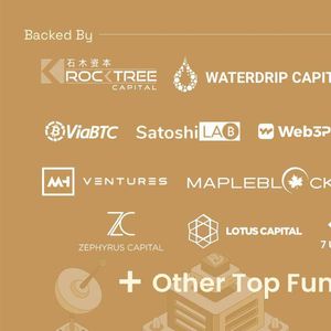 BEVM Bitcoin Layer2 Closes Seed Round with RockTree Capital, Sathoshi Lab & 20 Others