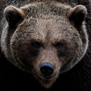 10x Research Founder Turns Bearish on Tech Stocks and Cryptocurrencies Amid Inflation Concerns
