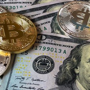 ‘Bitcoin Will Become the Shadow Central Bank, As the Fiat System Fails’, Predicts Former Goldman Sachs Analyst