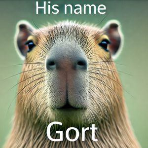 Gort Contributes Token Supply to ai16z to Drive AI-Enhanced Engagement in the Meme Economy