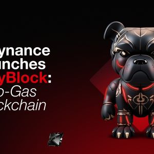 Playnance Launches PlayBlock: The Future of Zero-Gas Blockchain for Trading, Gaming, and Web3 Adoption v