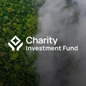 Charity Investment Fund Democratised Donation with Native Digital Currency CHIF