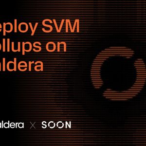 Caldera Launches Support for SVM, becoming First Multi-VM Rollup Platform