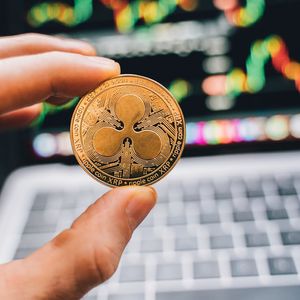 XRP Wallets Have Been Seeing ‘Parabolic’ Growth Since Mid-October, Data Shows