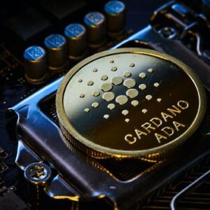 Cardano DeFi Steals The Show, Outperforms The Market With Explosive Transaction Growth