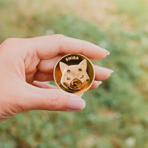 Total Number Of Shiba Inu Addresses In Profit Drops As Market Braces For Impact