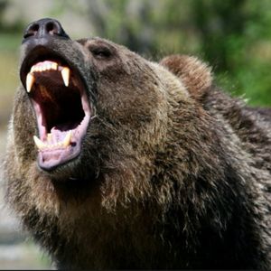 Bears Drive Binance Coin Toward $300 Level As Bull Run Fizzles Out