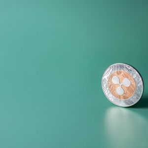XRP Holds Above Key Support As Ripple CEO Predicts Delay Of Verdict