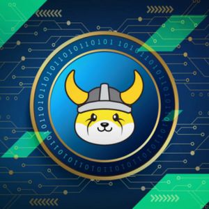 Will Listing Of Floki Inu On Brazil’s Largest Exchange Boost Meme Coin’s Price?