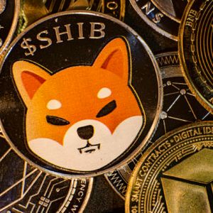 Shiba Inu (SHIB) Price At The Most Crucial Point In Its History?