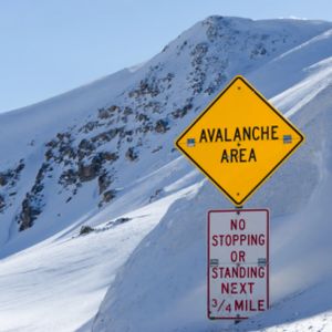 Avalanche (AVAX) Rumbles With 18% Gain – Is A Trend Reversal On The Horizon?