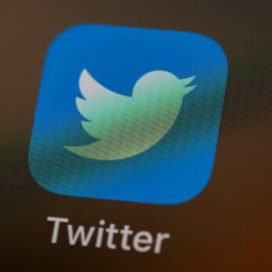 Shiba Inu Leads With Highest Number of Fake Twitter Followers, Data Reveals
