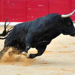 What’s Next For Bitcoin Price? Bulls Aren’t Running Out Of Steam Yet
