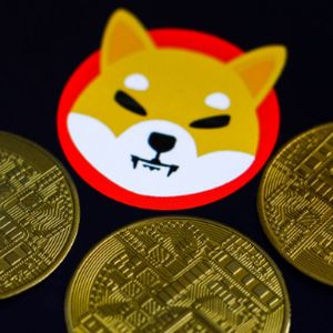 Significant Surge: Large Shiba Inu Token Transactions Capture Spotlight