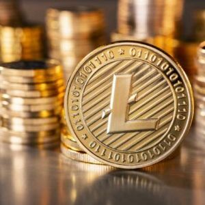 Litecoin Whales Purchase $59 Million Worth of LTC As Halving Event Approaches