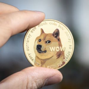Dogecoin Falls While Others Rally, Is It Decoupling From The Market?