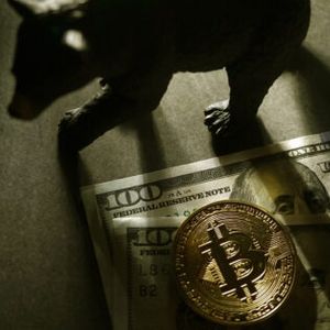 Bitcoin Whales Make Alarming Deposits To Exchanges Amid Falling Prices