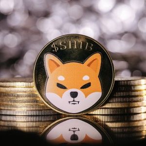 Over $28 Million In SHIB Withdrawn From Exchanges Ahead Of Shibarium Launch