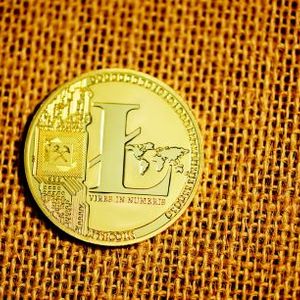 Litecoin Completes Halving, But Price Plunges 6%
