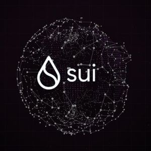 Is SUI Price Stability Under Threat Due To Transactional Boom And Bust?