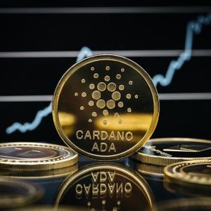 Cardano (ADA) Next In Line For A Rally Following Shark And Whale Buying Spree