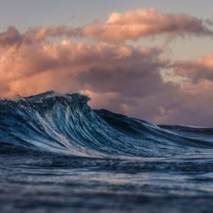 This Event Causes Bitcoin Traders’ Sentiment To Rise, Will BTC Surpass $30,000?