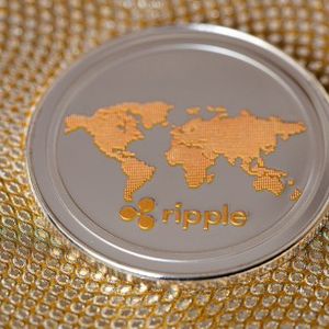 Institutional XRP Holdings Rise Rapidly Following Ripple’s Win Over SEC
