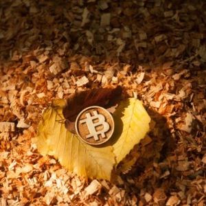Breaking Point: Bitcoin Fate Hangs On $25,400 Support, $20,500 Looms As Potential Bottom